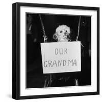 Grandma the Dog at Annual Dogs Christmas Party in Bristol, 1958-Maurice Tibbles-Framed Photographic Print