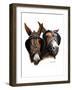 Grandpa's Mules-Don Engler-Framed Giclee Print