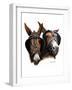 Grandpa's Mules-Don Engler-Framed Giclee Print