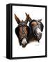 Grandpa's Mules-Don Engler-Framed Stretched Canvas