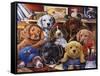 Grandpa's Puppies-Jenny Newland-Framed Stretched Canvas