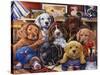 Grandpa's Puppies-Jenny Newland-Stretched Canvas