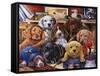 Grandpa's Puppies-Jenny Newland-Framed Stretched Canvas