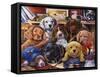 Grandpa's Puppies-Jenny Newland-Framed Stretched Canvas