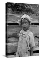 Grandson of Negro Tenant Whose Father Is in the Penitentiary-Dorothea Lange-Stretched Canvas