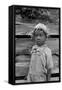 Grandson of Negro Tenant Whose Father Is in the Penitentiary-Dorothea Lange-Framed Stretched Canvas