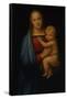 Granduca Madonna-Raphael-Framed Stretched Canvas