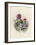 Grandville Dahlia 1847-JJ Grandville-Framed Photographic Print