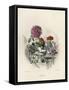 Grandville Dahlia 1847-JJ Grandville-Framed Stretched Canvas