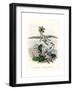 Grandville Hortensia-J^J^ Grandville-Framed Giclee Print