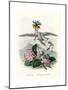 Grandville Hortensia-J^J^ Grandville-Mounted Giclee Print