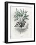 Grandville Myrtle 1847-JJ Grandville-Framed Art Print