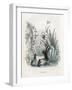 Grandville Narcissus-JJ Grandville-Framed Art Print