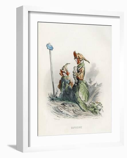 Grandville Nasturtium-JJ Grandville-Framed Art Print