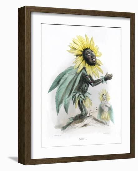 Grandville Sunflower-JJ Grandville-Framed Art Print