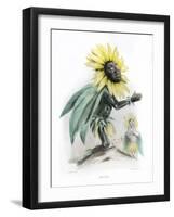 Grandville Sunflower-JJ Grandville-Framed Art Print