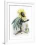 Grandville Sunflower-JJ Grandville-Framed Art Print