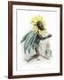 Grandville Sunflower-JJ Grandville-Framed Art Print