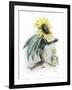 Grandville Sunflower-JJ Grandville-Framed Art Print