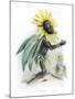 Grandville Sunflower-JJ Grandville-Mounted Art Print