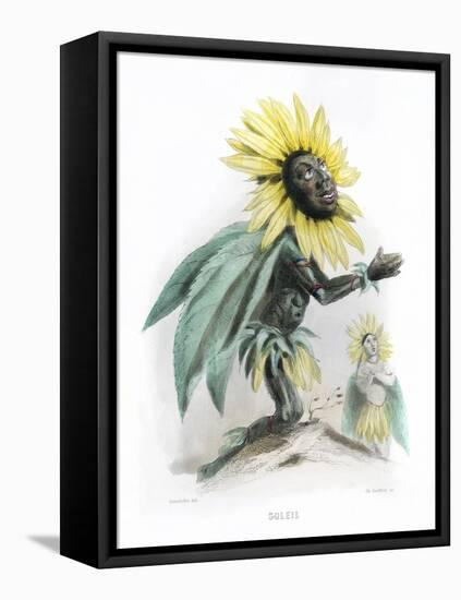 Grandville Sunflower-JJ Grandville-Framed Stretched Canvas