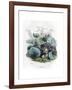 Grandville Violet 1847-J^J^ Grandville-Framed Giclee Print