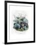 Grandville Violet 1847-J^J^ Grandville-Framed Giclee Print