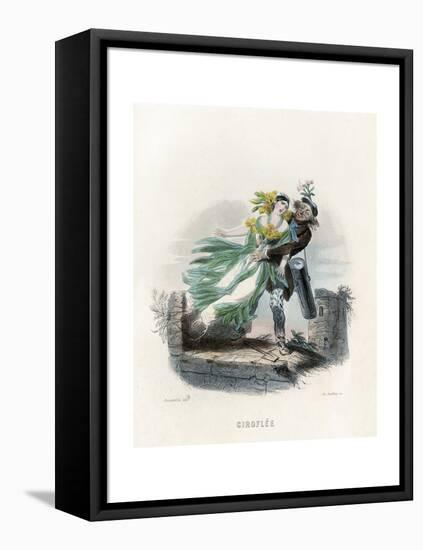 Grandville Wallflower-J^J^ Grandville-Framed Stretched Canvas