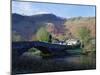 Grange in Borrowdale, Lake District National Park, Cumbria, England, United Kingdom-Roy Rainford-Mounted Photographic Print