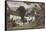 Grange over Sands: ‘Wilson’S’ Farm, Lindale, 1875-null-Framed Stretched Canvas