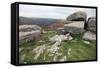 Granite Boulders on Tor Overlooking Dart Valley, Dartmoor Nat'l Pk, Devon, England, UK-David Lomax-Framed Stretched Canvas