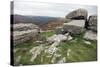 Granite Boulders on Tor Overlooking Dart Valley, Dartmoor Nat'l Pk, Devon, England, UK-David Lomax-Stretched Canvas