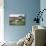 Granite Boulders on Tor Overlooking Dart Valley, Dartmoor Nat'l Pk, Devon, England, UK-David Lomax-Mounted Photographic Print displayed on a wall