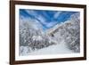 Granite Cliffs at Mouth of Little Cottonwood Canyon and Trees, Utah-Howie Garber-Framed Photographic Print