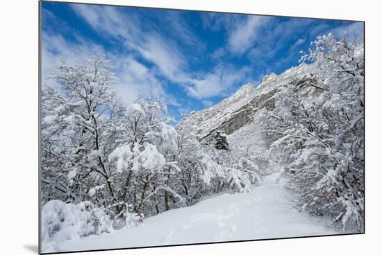 Granite Cliffs at Mouth of Little Cottonwood Canyon and Trees, Utah-Howie Garber-Mounted Photographic Print