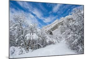 Granite Cliffs at Mouth of Little Cottonwood Canyon and Trees, Utah-Howie Garber-Mounted Photographic Print