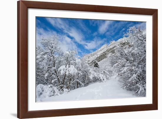 Granite Cliffs at Mouth of Little Cottonwood Canyon and Trees, Utah-Howie Garber-Framed Photographic Print