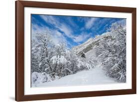 Granite Cliffs at Mouth of Little Cottonwood Canyon and Trees, Utah-Howie Garber-Framed Photographic Print