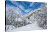 Granite Cliffs at Mouth of Little Cottonwood Canyon and Trees, Utah-Howie Garber-Stretched Canvas
