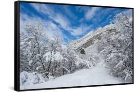 Granite Cliffs at Mouth of Little Cottonwood Canyon and Trees, Utah-Howie Garber-Framed Stretched Canvas