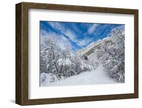 Granite Cliffs at Mouth of Little Cottonwood Canyon and Trees, Utah-Howie Garber-Framed Photographic Print