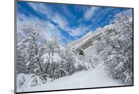 Granite Cliffs at Mouth of Little Cottonwood Canyon and Trees, Utah-Howie Garber-Mounted Photographic Print