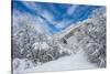 Granite Cliffs at Mouth of Little Cottonwood Canyon and Trees, Utah-Howie Garber-Stretched Canvas