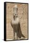Granite Falcons, Pylon, Temple of Horus, Edfu, Egypt, North Africa, Africa-Richard Maschmeyer-Framed Stretched Canvas