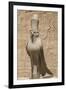 Granite Falcons, Pylon, Temple of Horus, Edfu, Egypt, North Africa, Africa-Richard Maschmeyer-Framed Photographic Print