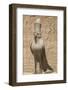 Granite Falcons, Pylon, Temple of Horus, Edfu, Egypt, North Africa, Africa-Richard Maschmeyer-Framed Photographic Print