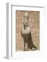 Granite Falcons, Pylon, Temple of Horus, Edfu, Egypt, North Africa, Africa-Richard Maschmeyer-Framed Photographic Print