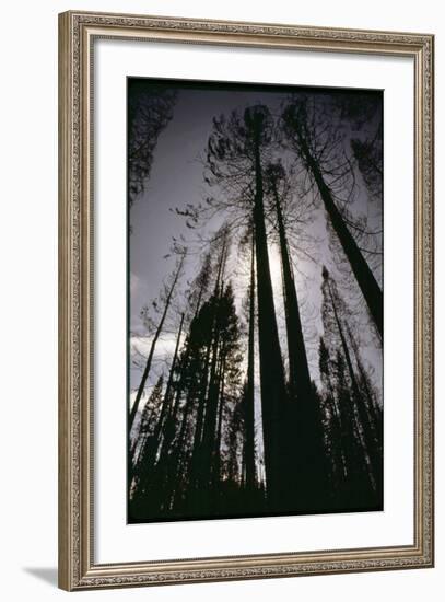 Granite Fire I-null-Framed Photographic Print