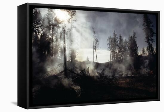 Granite Fire II-null-Framed Stretched Canvas