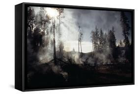 Granite Fire II-null-Framed Stretched Canvas